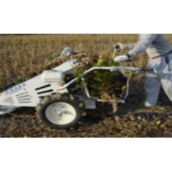 3 -BIGDEL BH-710 FASÜLYE HASAT MAKİNESİ